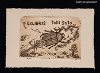 藏品(藏書票—黄金虫（金龜子）)的圖片