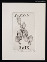 藏品(藏書票—猫柳と蓑虫)的圖片