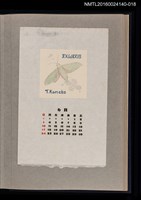 藏品(藏書票曆——飛蛾)的圖片