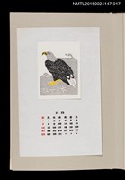 藏品(藏書票曆——白尾海鵰（幻の鳥 オジロワシ）)的圖片