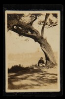 藏品(洪炎秋樹下讀書身影)的圖片