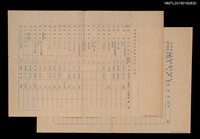 藏品(民族舞蹈欣賞會演出節目一覽表及改進意見表（油印本）)的圖片