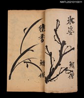 藏品(茄苳庵雜詠三十首)的圖片