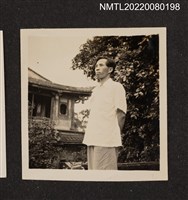 藏品(龍瑛宗獨照)的圖片