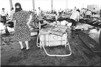 藏品(劉安明底片捲01(L010))的圖片