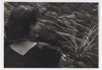 藏品(女子肖像)的圖片