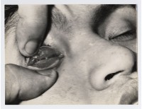 藏品(眼睛)的圖片