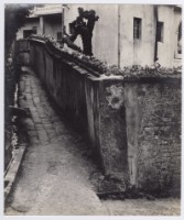 藏品(淡水素描)的圖片