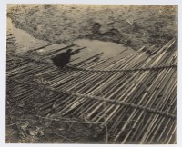 藏品(戶外水邊)的圖片