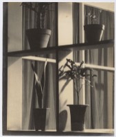 藏品(靜物)的圖片