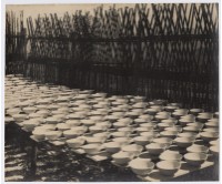 藏品(〈曲與直〉)的圖片