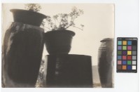 藏品(〈清趣〉)的圖片