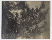 藏品(竹林水車)的圖片