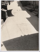 藏品(道路)的圖片