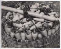 藏品(〈滿載〉)的圖片