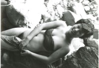 藏品(女子肖像)的圖片