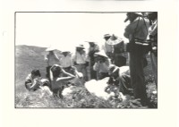 藏品(戶外攝影)的圖片