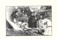 藏品(畫圖)的圖片