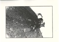 藏品(抬轎)的圖片