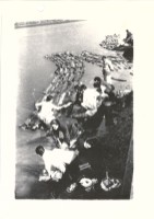 藏品(洗衣)的圖片