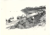 藏品(運煤工人)的圖片