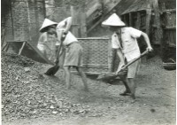 藏品(鏟煤工人)的圖片