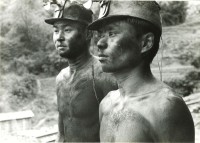 藏品(煤礦工人)的圖片