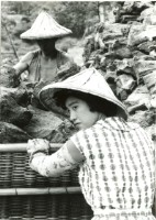 藏品(工人)的圖片