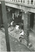 藏品(街景)的圖片