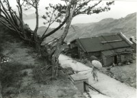 藏品(山坡道路)的圖片
