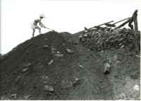 藏品(煤礦場)的圖片