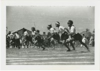 藏品(比賽)的圖片