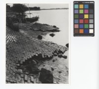 藏品(岸邊石磚)的圖片