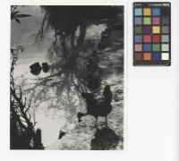 藏品(水邊)的圖片