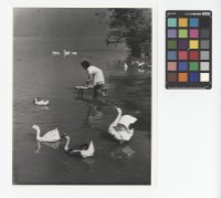 藏品(水中洗衣婦)的圖片