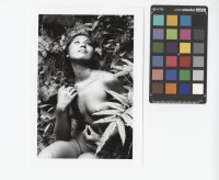 藏品(〈NUDE〉)的圖片