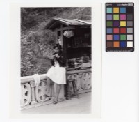 藏品(女性肖像)的圖片