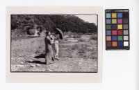 藏品(女性肖像)的圖片