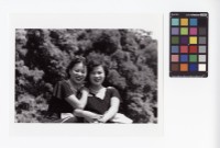 藏品(女性肖像)的圖片