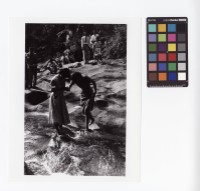 藏品(溪邊戲水)的圖片