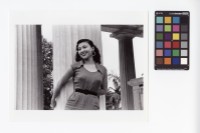 藏品(張仲文)的圖片