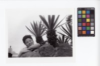 藏品(女性肖像)的圖片