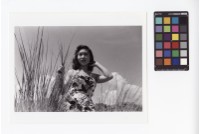 藏品(女性肖像)的圖片