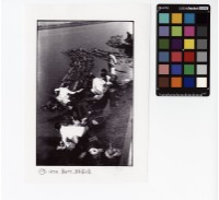 藏品(〈(17) 1950 新竹 頭前溪〉)的圖片