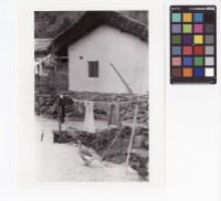 藏品(屋外一景)的圖片