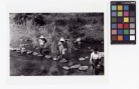 藏品(過溪)的圖片