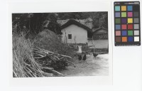 藏品(屋外一景)的圖片