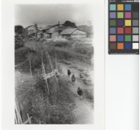 藏品(農村一景)的圖片