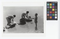 藏品(洗衣)的圖片