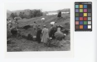 藏品(掃墓)的圖片